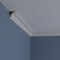 Ekena Millwork 1 3/4"H x 1 3/4"P x 2 5/8"F x 94 1/2"L Traditional Smooth Crown Moulding MLD01X01X02TR - alternate 7